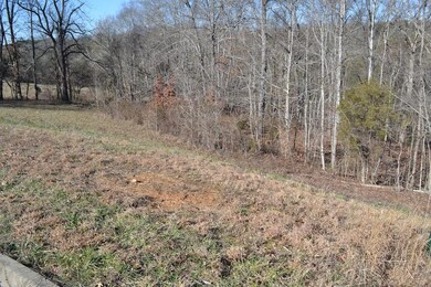 Atala Trail Lot 37 pic 1