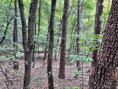 000 Hawks Terrace, Lake Lure, NC 28746 - photo 2