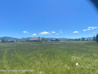 IMG_0807
