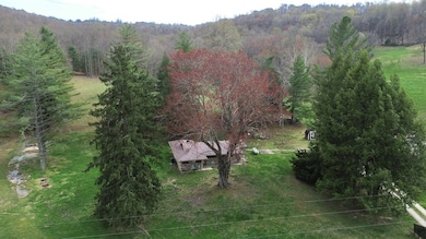 1459 Buck Lick Branch, Tollesboro, KY 41189 - photo 3