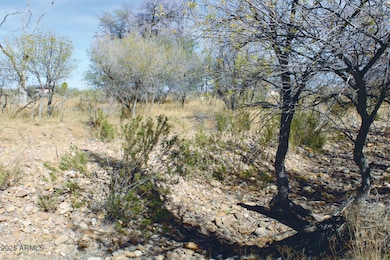 10 Acres E Roadrunner Lot D Ln unit D, Pearce, AZ 85625 - photo 3