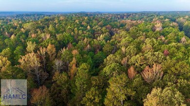 0 Dennis Creek Rd unit 158992, Talbotton, GA 31827 - photo 7