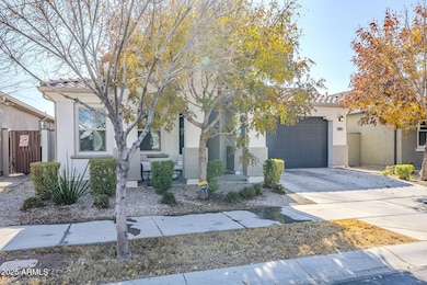 9935 E Thornbush Ave, Mesa, AZ 85212 - photo 2