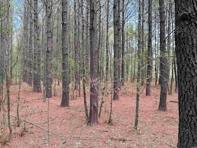 53 Center Point Loop, Vilonia, AR 72173 - photo 5