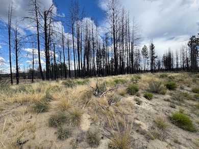 0 Shasta Fir Ln unit 9 220206679, Beatty, OR 97621 - photo 3