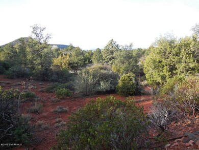 DSCN0528