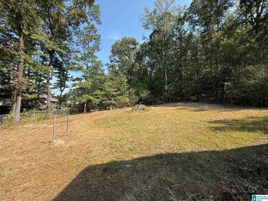 1315 Yellowleaf Cir, Alabaster, AL 35114 - photo 4