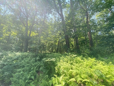 Lot 2R &3 Chapin Rd, Hampden, MA 01036 - photo 2