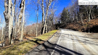 Lot 22 Ski Acres Dr, Blowing Rock, NC 28605 - photo 3