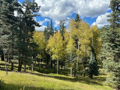 134 Onate Rd, Angel Fire, NM 87710 - photo 6