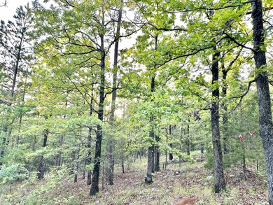 0 Ln, Heavener, OK 74937 - photo 7