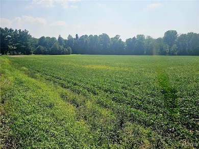 0 Clinton Rd, Weedsport, NY 13166 - photo 3