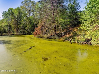 1140 Crestview Dr, Pigeon Forge, TN 37863 - photo 6