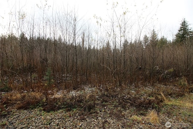 0 364th Ave SE, Maple Valley, WA 98038 - photo 3