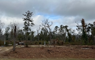 3205 NW Cr 141, Jennings, FL 32053 - photo 2