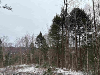 0 Fall Brook Rd unit 5071480, Lyndon, VT 05851 - photo 3