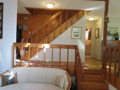 View from family Room