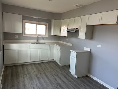 2956 Sherwood Ave, Markham, IL 60428 - photo 5