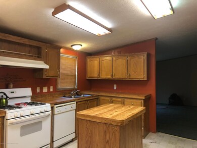 4619 Palmer St, Lansing, MI 48910 - photo 6