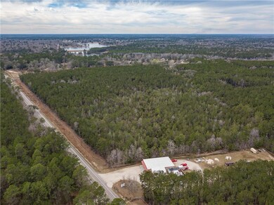 0 Louisiana 21, Bush, LA 70431 - photo 6