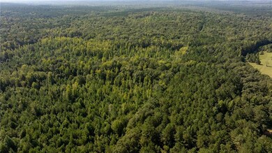 465 Huguley Rd, Opelika, AL 36804 - photo 5