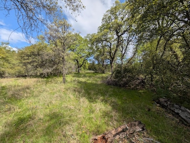 14677 Begonia Way, Oregon House, CA 95962 - photo 7