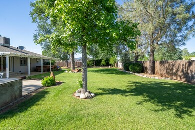 back yard looking north