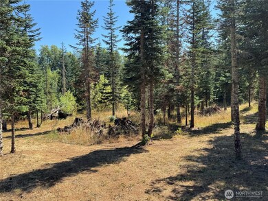 143 Homer Ln, Chehalis, WA 98532 - photo 5