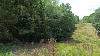 65 Sandy Point Rd, Camden, TN 38320 - photo 5