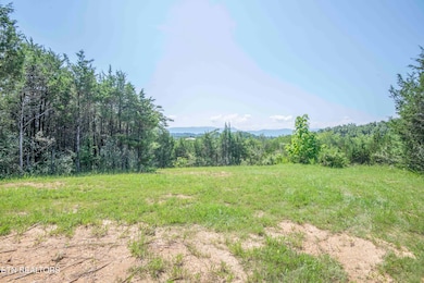 0 Kinder Ln unit 1309732, Dandridge, TN 37725 - photo 4