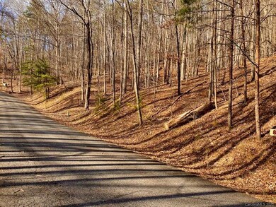 LOT 8 Crabapple Ct, Lake Lure, NC 28746 - photo 2