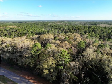 0 Dogwood Fork Rd unit 7347527, Bay Minette, AL 36507 - photo 3