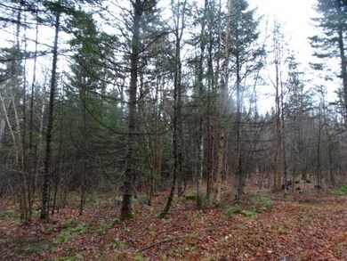 823 Baird Rd, Newark, VT 05871 - photo 2