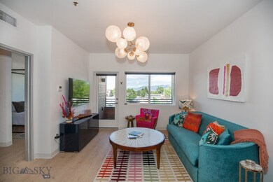 718 W Babcock St unit 310, Bozeman, MT 59715 - photo 4