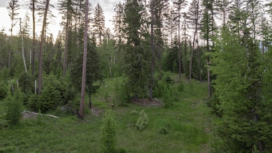 30632 Carney Creek Rd, Big Fork, MT 59911 - photo 7