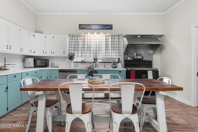 501 Daspit St, Gueydan, LA 70542 - photo 6