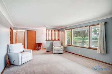 1960 Joseph Rd, Luckey, OH 43443 - photo 5