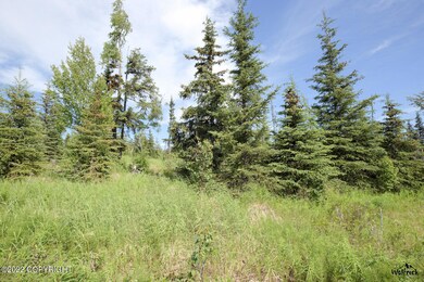 D24 Alaskan Wildwood Ranch(r), Nikolaevsk, AK 99556 - photo 4