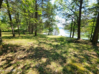 0 E Shore Dr unit 1313023, Rockwood, TN 37854 - photo 6