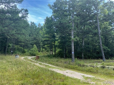 View of road with a view of trees