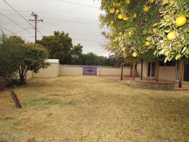 022-210388 back yard 2