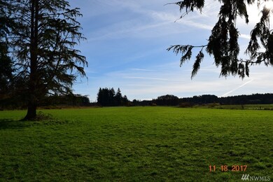 0 Forest Napavine Rd unit 1219584, Chehalis, WA 98532 - photo 5