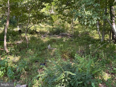 0 English Muffin Way, Berkeley Springs, WV 25411 - photo 7