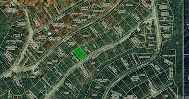 Lot 13 Apache Dr, Holiday Island, AR 72631 - photo 2