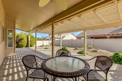 Back Patio