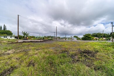 3405 Alohanani Place, Hilo, HI 96720 - photo 4