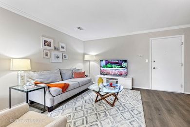 13 Burberry Cir unit 426, Schaumburg, IL 60173 - photo 5