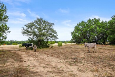 4340 County Road 284, Liberty Hill, TX 78642 - photo 7