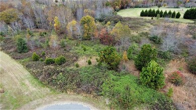 0 Tyringham Dr unit 47, Howards Creek, NC 28033 - photo 3