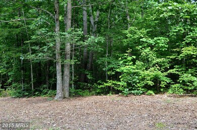 0 Bre Z Way Ln unit 1003061144, Lignum, VA 22726 - photo 7